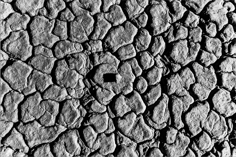 Fractures