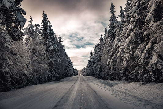 The Whispers of Winter