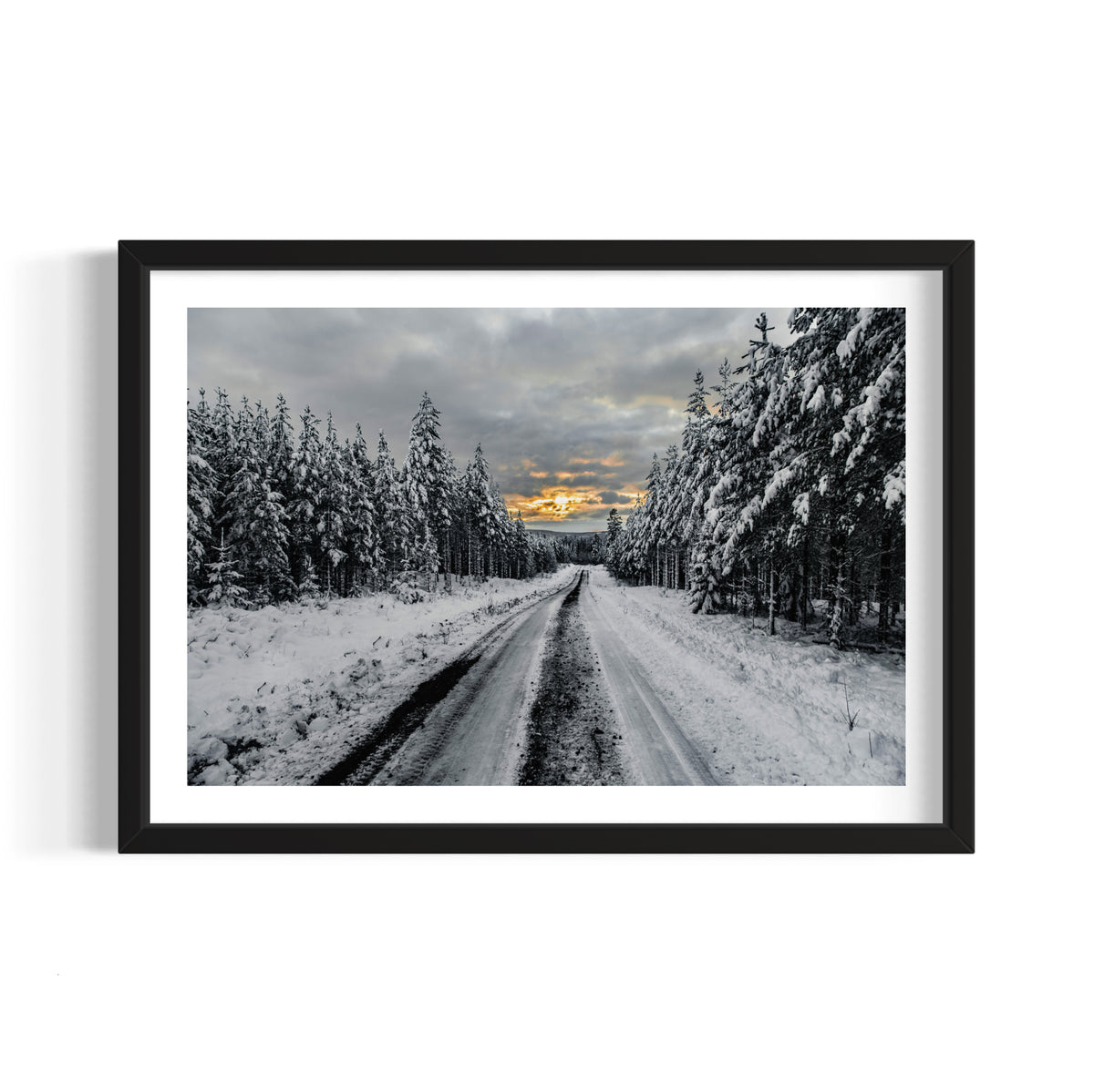 El Camino