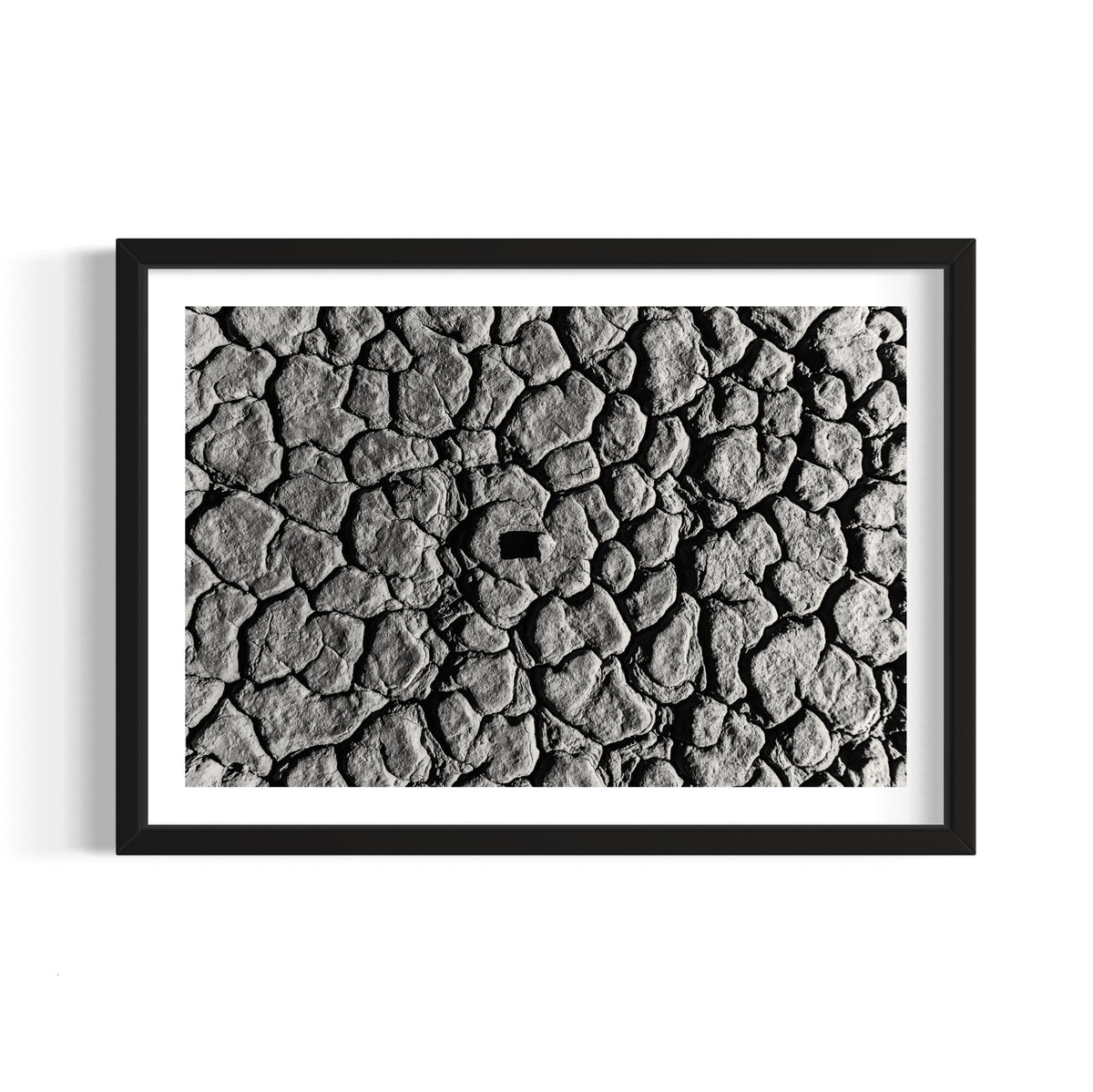 Fractures