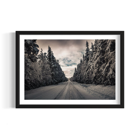 The Whispers of Winter