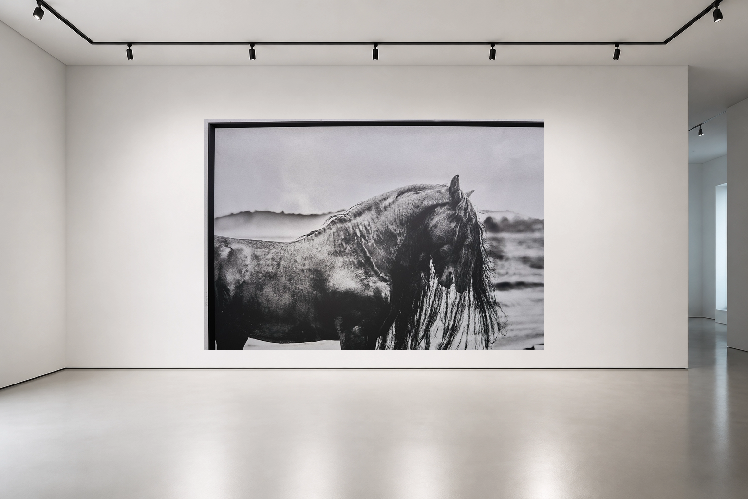ARGENTO installed in the Ale Sosa gallery environment