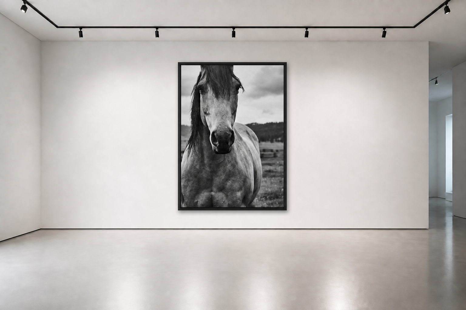 Fearless A/P installed in a gallery interior